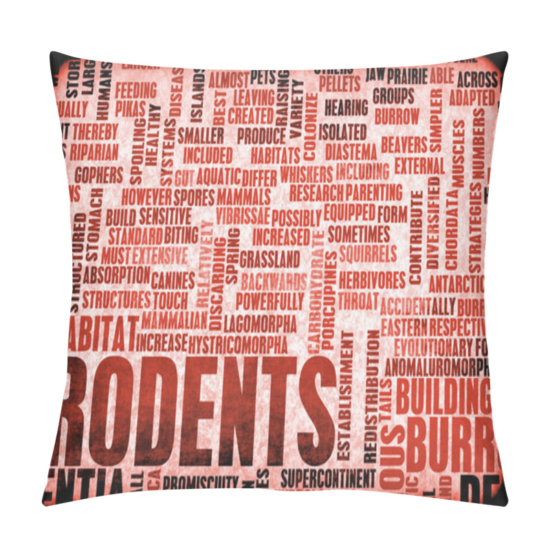 Personality  Rodents Concept Art Pillow Covers