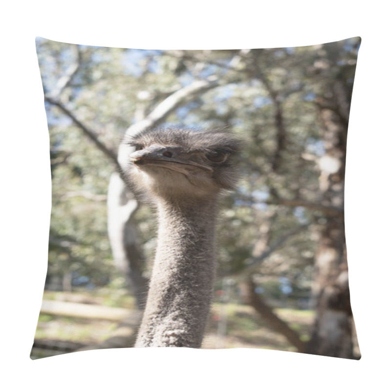 Personality  The Ostrich Is The Largest And Heaviest Living Bird In The World They Cannot Fly. Pillow Covers