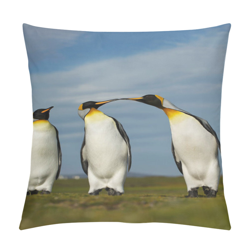 Personality  Three King Penguins Displaying Aggressive Behavior During Mating Pillow Covers