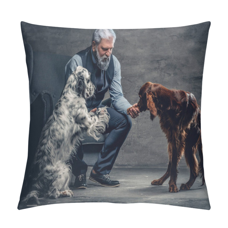 Personality  Elderly Man Feeding His Two Adorable Dogs Against Dark Background Pillow Covers