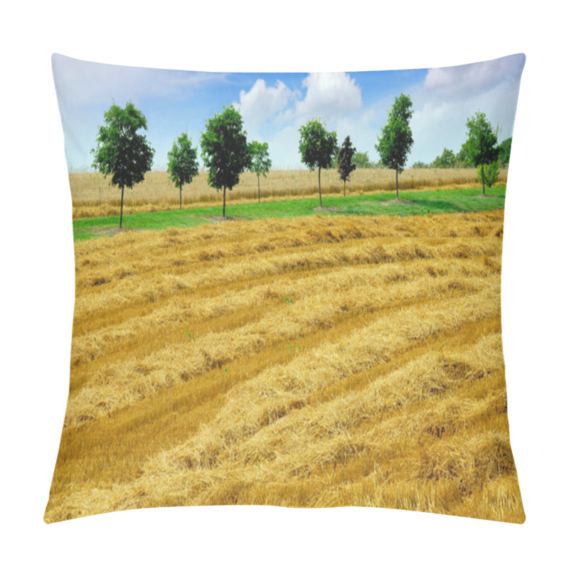 Personality  Harvest Grain Field Pillow Covers