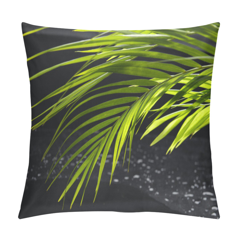 Personality  Palm On Wet Black Pillow Covers