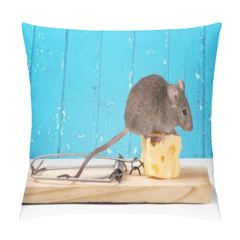 Personality  Trap With Cheese And Mouse Pillow Covers