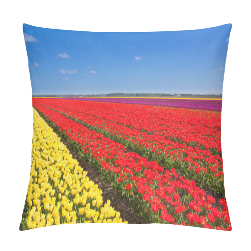 Personality  Wonderful Tulip Field Pillow Covers