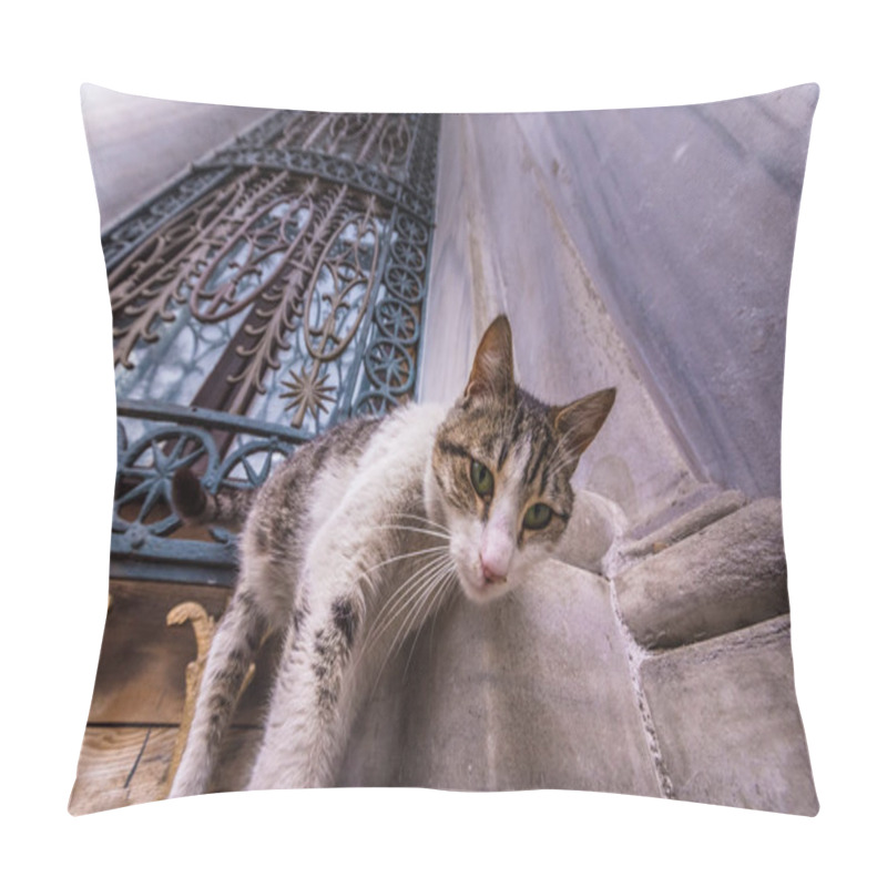 Personality  Istanbul Homeless Cat On The Corner Of A Marble Wall  Of Mosque In The Town Of Istanbul,Turkey. Pillow Covers