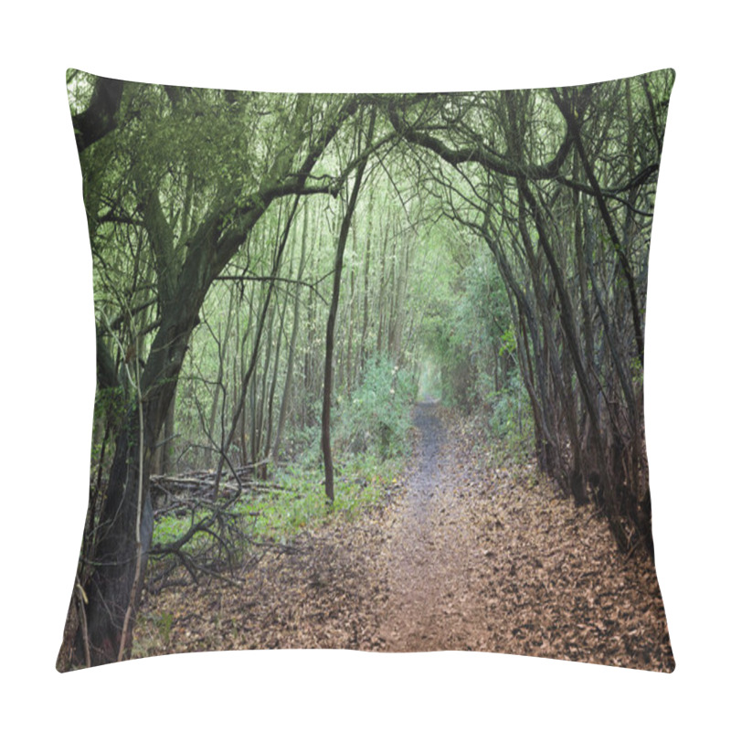 Personality  Scene From Dense Forest In Denmark Scandinavia Pillow Covers