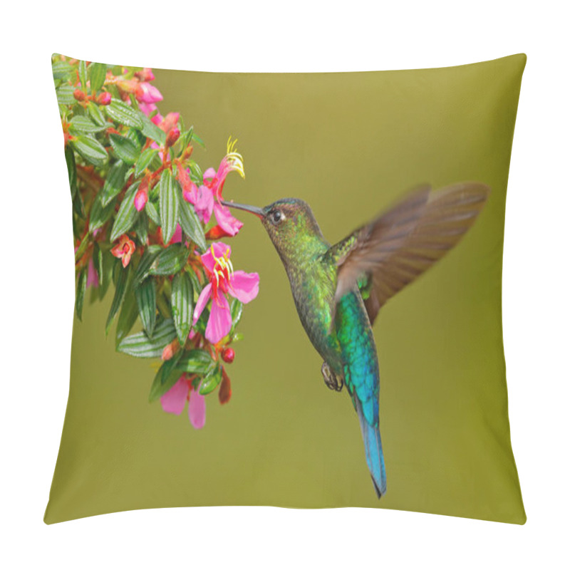 Personality  Hummingbird With Pink Flower. Fiery-throated Hummingbird, Flying Next To Beautiful Bloom, Costa Rica. Action Wildlife Scene From Tropic Nature. Bird In Fly, Sunny Day. Pillow Covers