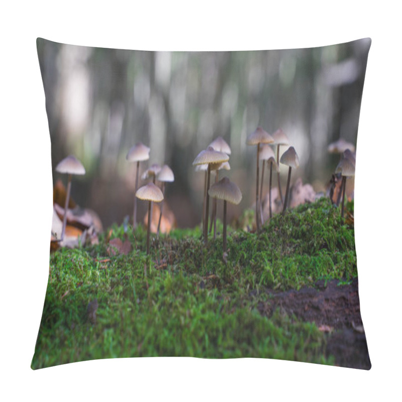 Personality  Small Mushrooms Grow On A Decayed Tree Trunk. Pillow Covers