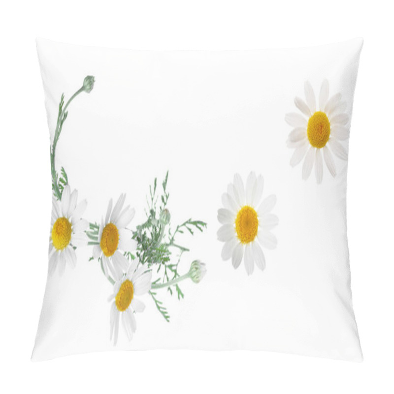 Personality  Set Of Beautiful Chamomile Flowers On White Background  Pillow Covers