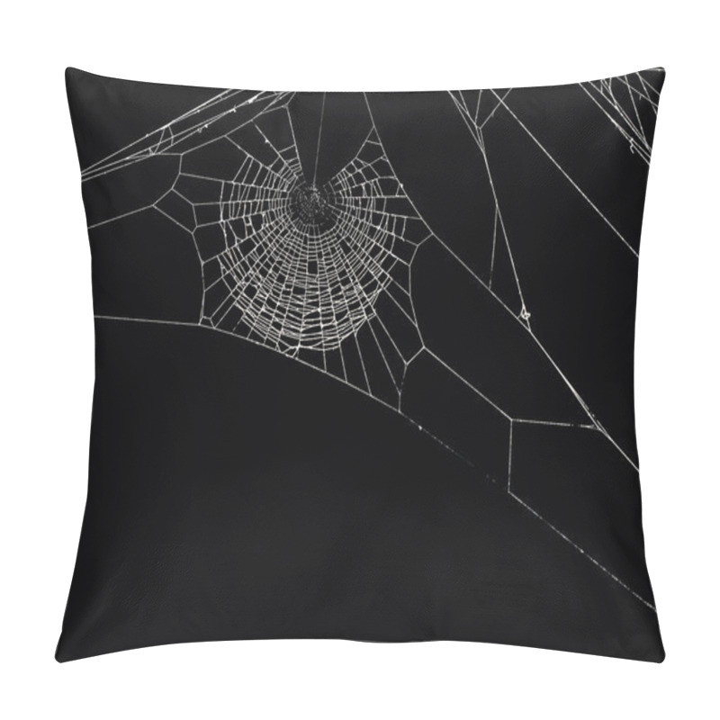 Personality  Spider's Net Pillow Covers