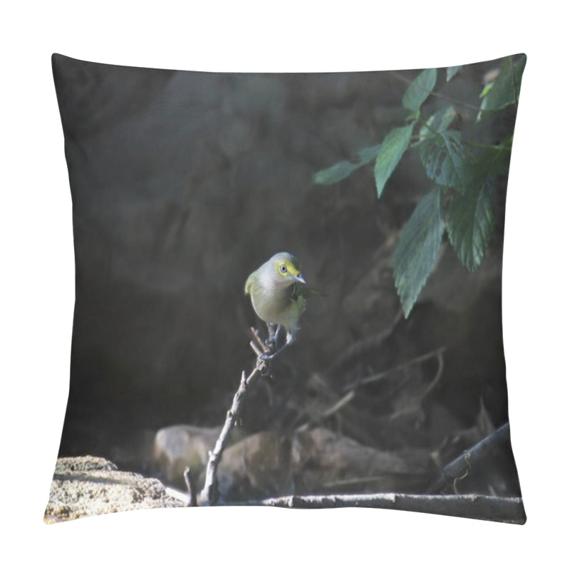 Personality  White-eyed Vireo (vireo Griseus) Perched On A Dead Branch Over A Pool Of Water Pillow Covers