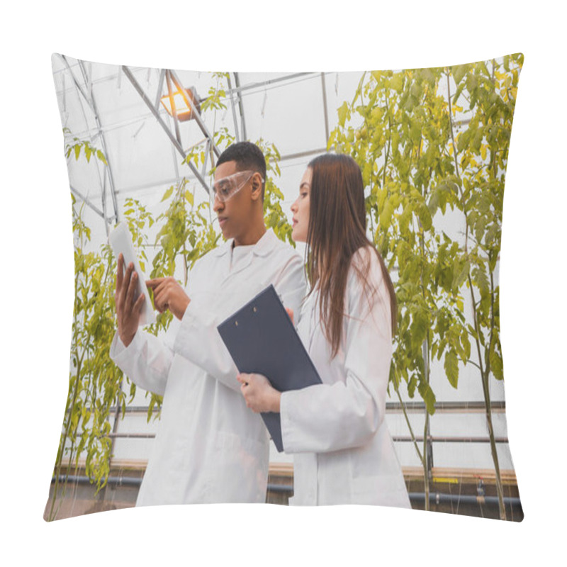 Personality  African American Botanist Using Digital Tablet Near Colleague With Clipboard In Greenhouse  Pillow Covers