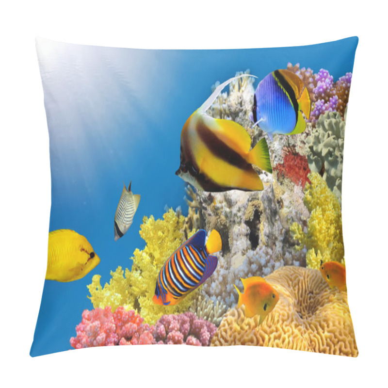 Personality  Photo Of A Coral Colony On A Reef Top Pillow Covers