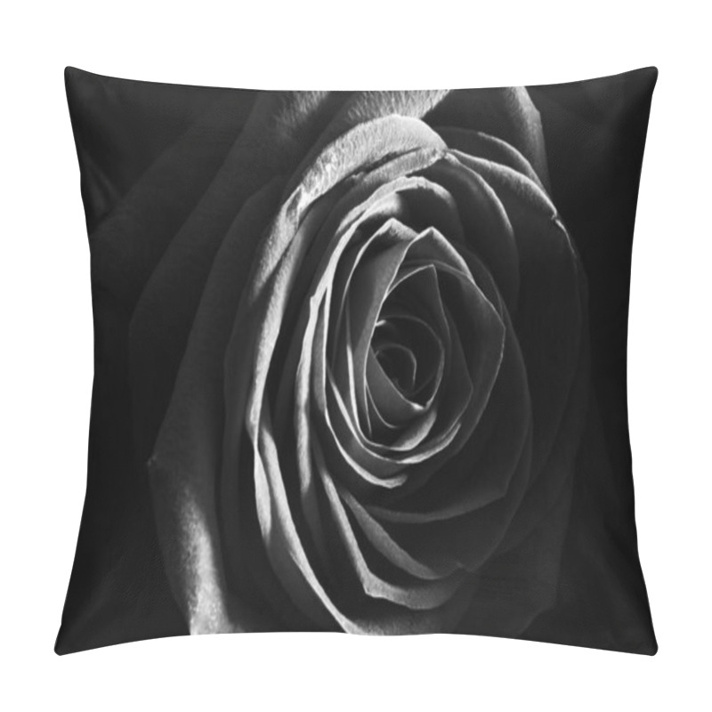 Personality  Black And White Rose Close Up Beautiful Macro Photo Pillow Covers