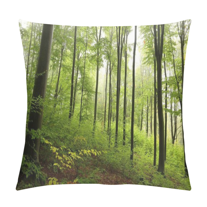 Personality  Beech Forest In Misty Weather Pillow Covers