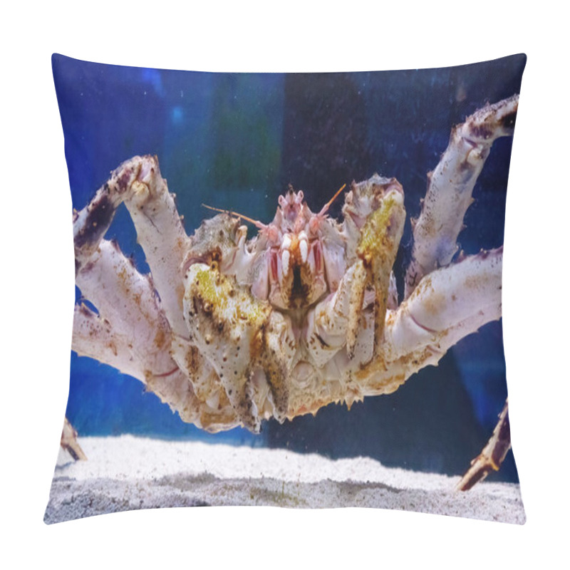 Personality  Kamchatka Crab In The Aquarium Of The Fish Department Of The Market. Delicacies From The Sea. Red Alaskan King Crab. Paralithodes Camtschaticus Pillow Covers