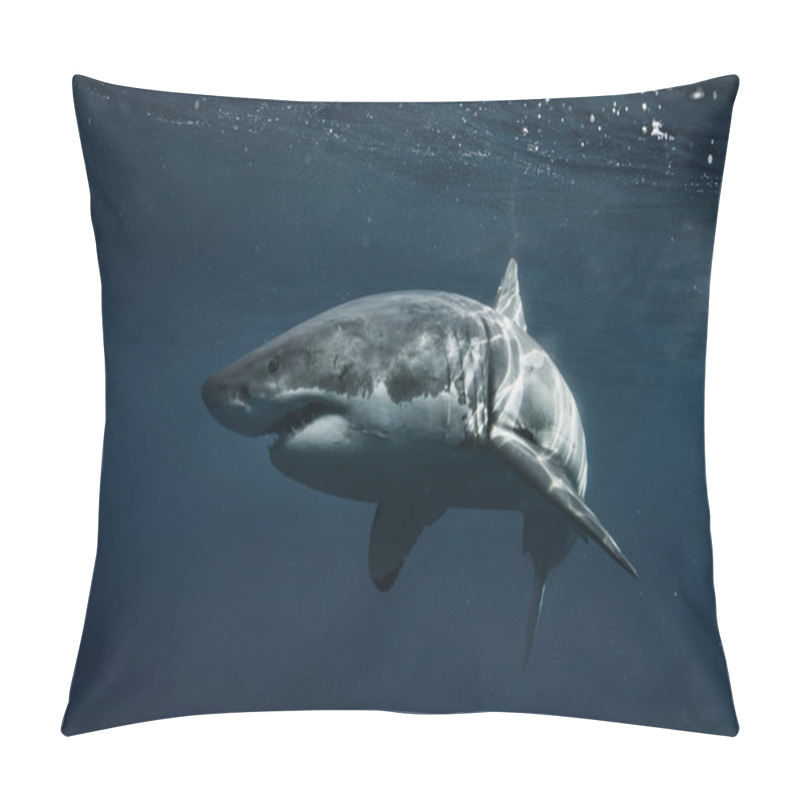 Personality  Great White Shark In Pacific Ocean Pillow Covers