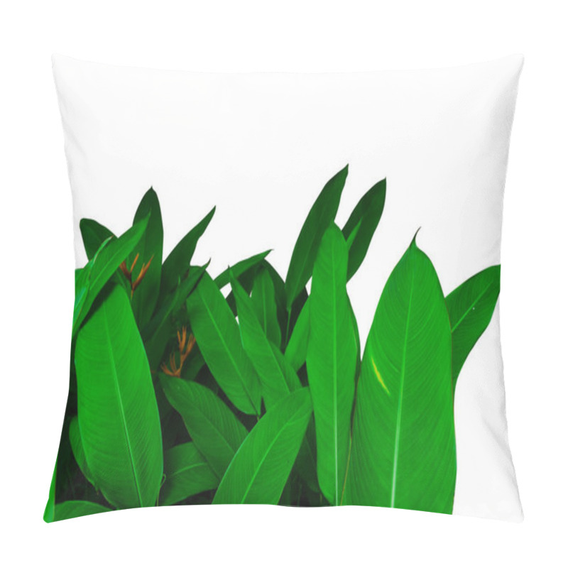 Personality  Isolated Of Beautiful Leaves Parrot Flower Of Paradise Flower On White Background Pillow Covers