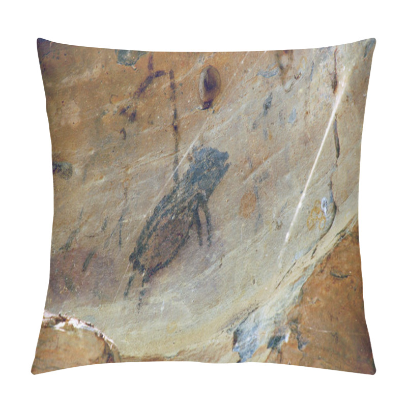 Personality  Rock Drawing Of Cerca Grande - Matozinhos (MG) Brazil Pillow Covers