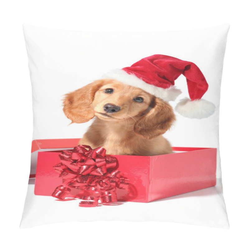 Personality  Santa Puppy Pillow Covers