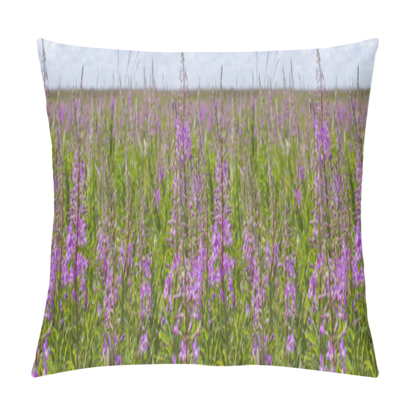 Personality  Blossom Meadow Willow-herb Chamerion Flower Panorama Pillow Covers