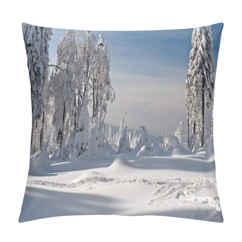 Personality  Winter Wonderland Pillow Covers