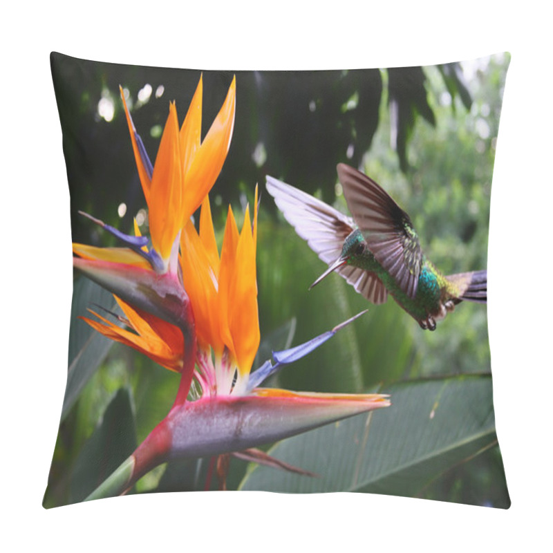 Personality  Flying Hummingbird At A Strelitzia Flower Pillow Covers