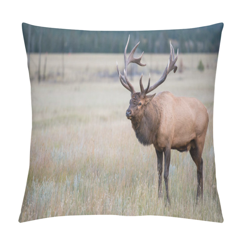 Personality  Elk In Wild, Animal. Nature, Fauna Pillow Covers