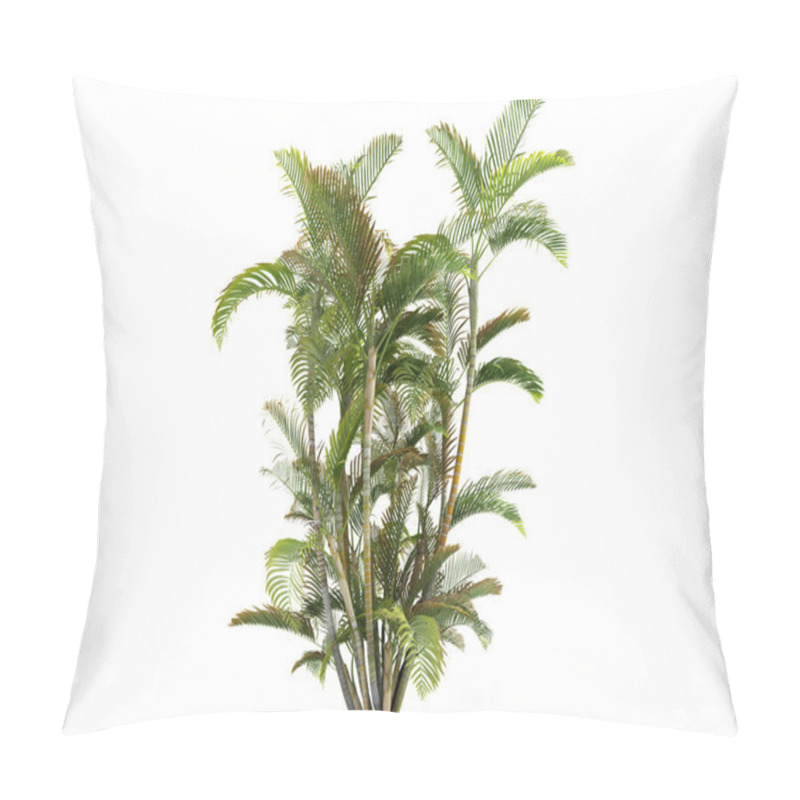 Personality  Butterfly Palm Or Dypsis Lutescens Pillow Covers