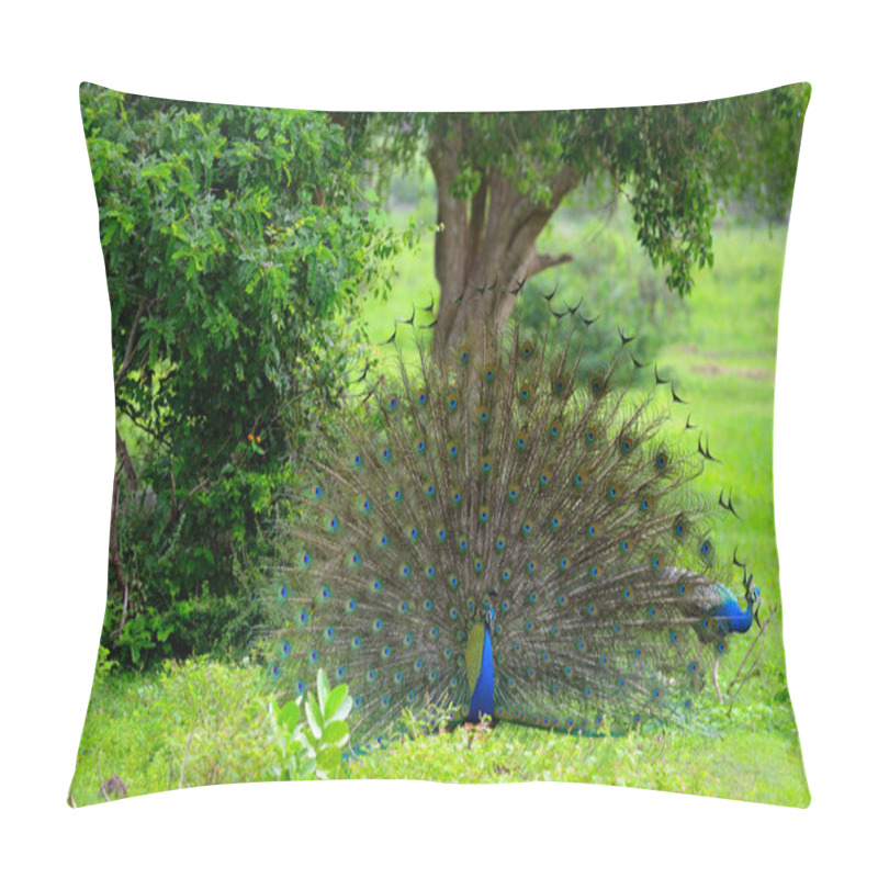 Personality  Peacock Pillow Covers