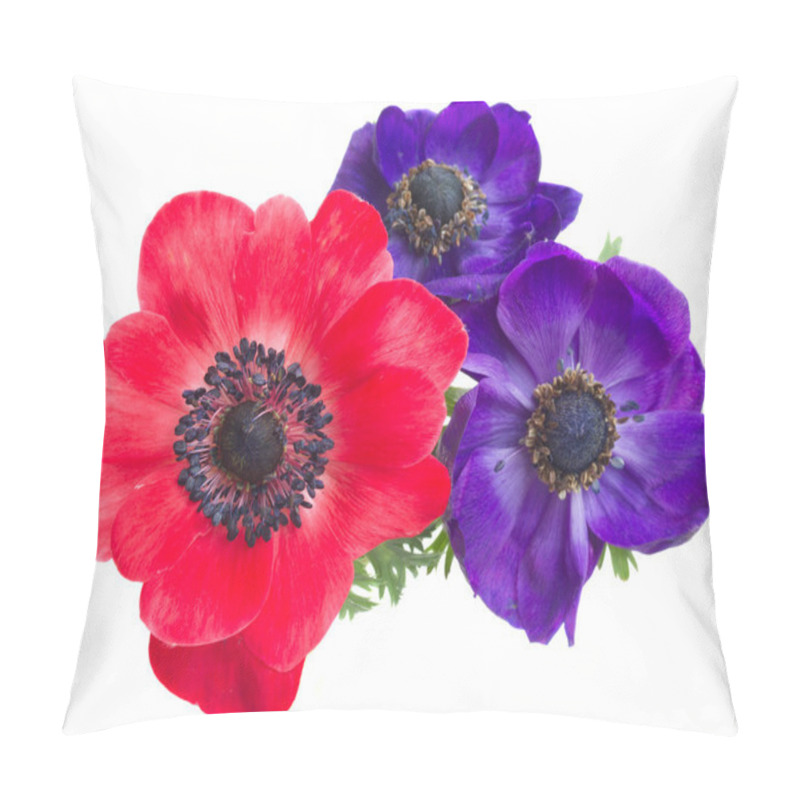 Personality  Anemone Flowers Pillow Covers