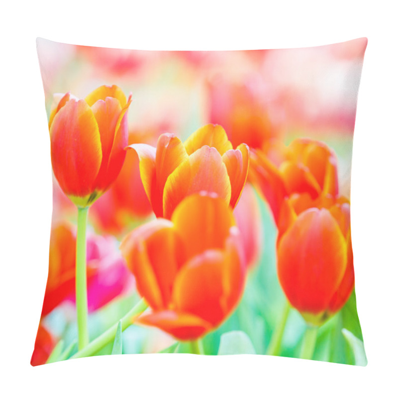 Personality  Spring Blooming Tulips Pillow Covers