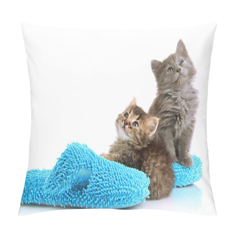 Personality  Small Kittens Sits On House Slippers Isolated On White Pillow Covers