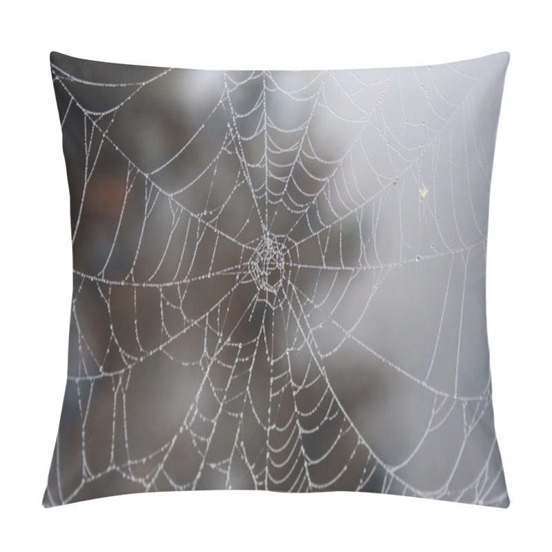 Personality  Spider Web With Dew Pillow Covers