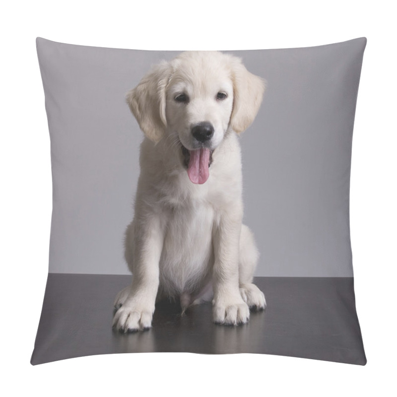 Personality  Baby Golden Retriever Portrait Pillow Covers