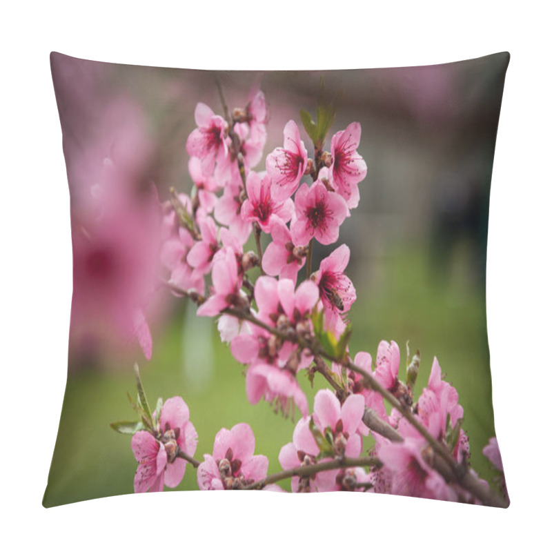 Personality  Pink Peach Blossoms On Tree Branches Closeup Pillow Covers