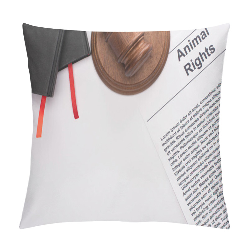 Personality  Top View Of Animal Rights Inscription, Black Notebooks And Judge Gavel On White Background Pillow Covers