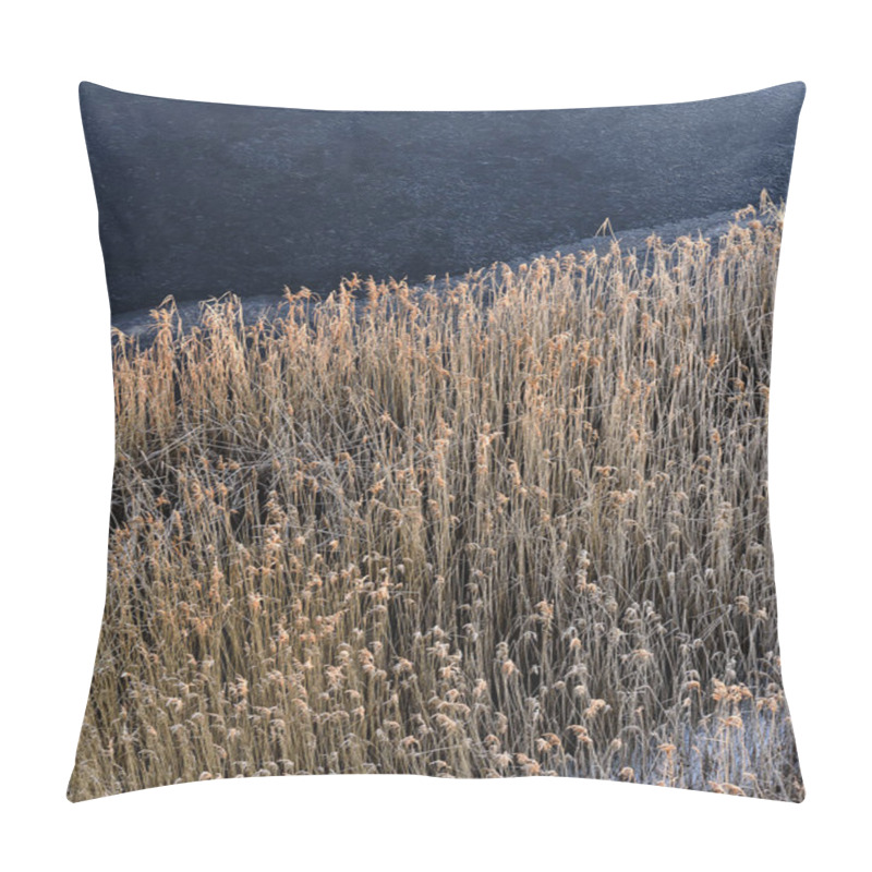 Personality  Frozen River , Coastline Covered With Frosty Reeds. Pillow Covers