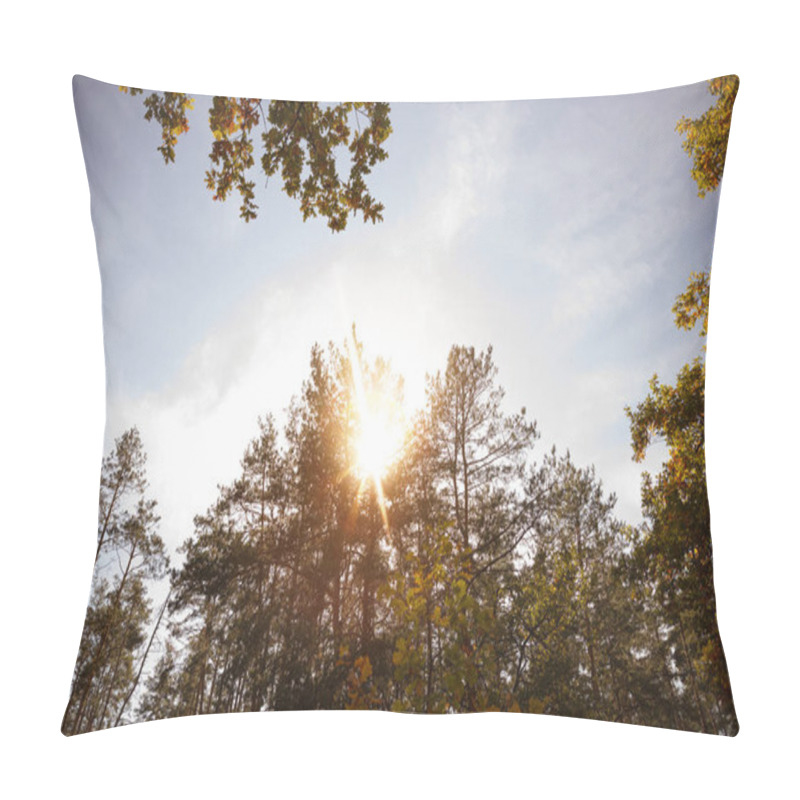 Personality  Sun, Trees With Yellow And Green Leaves In Autumnal Park At Day  Pillow Covers