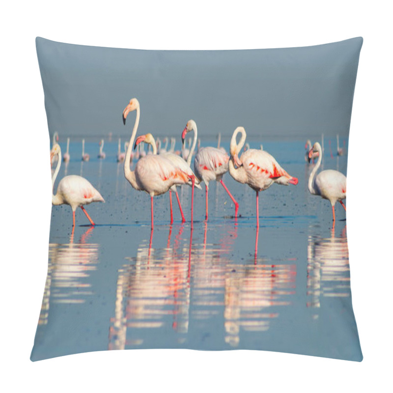 Personality  Wild African Birds. Group Birds Of Pink African Flamingos  Walking Around The Blue Lagoon On A Sunny Day Pillow Covers