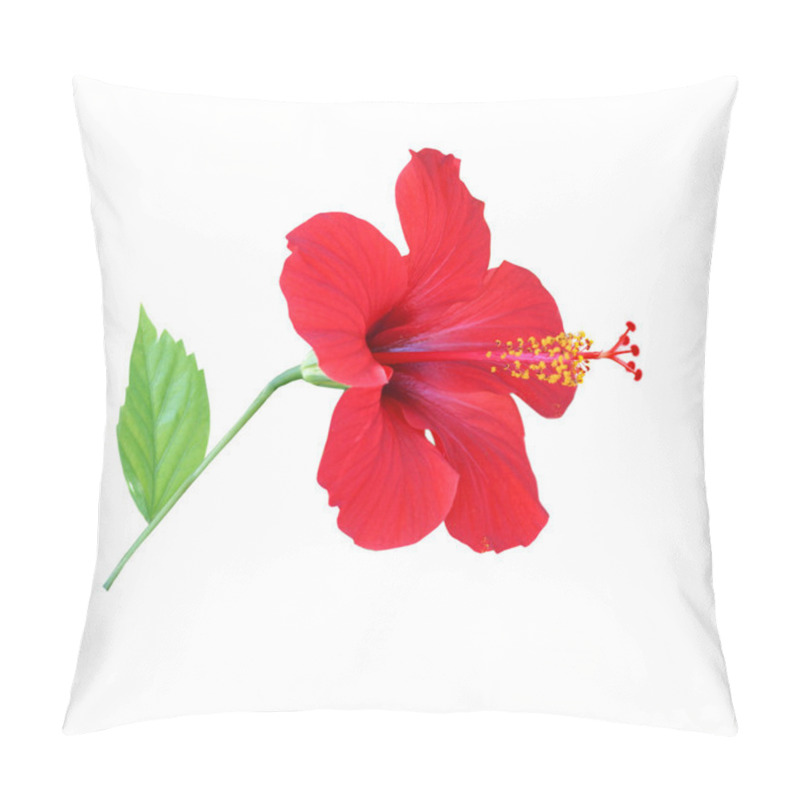 Personality  Red Hibiscus Isolated On The White Backg Pillow Covers