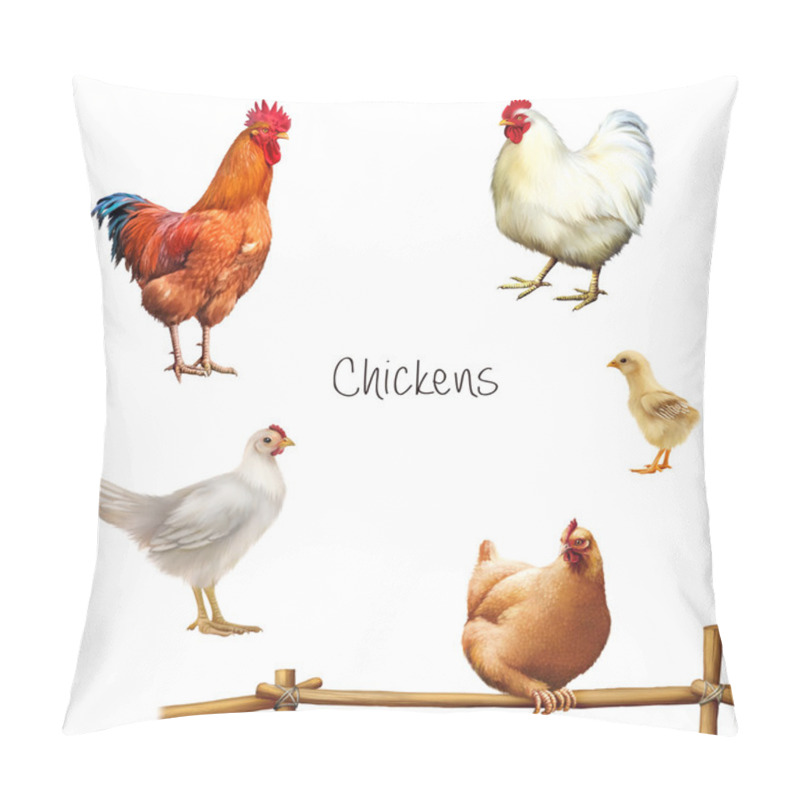 Personality  Rooster, Chicken, Hen, Baby Chick Pillow Covers