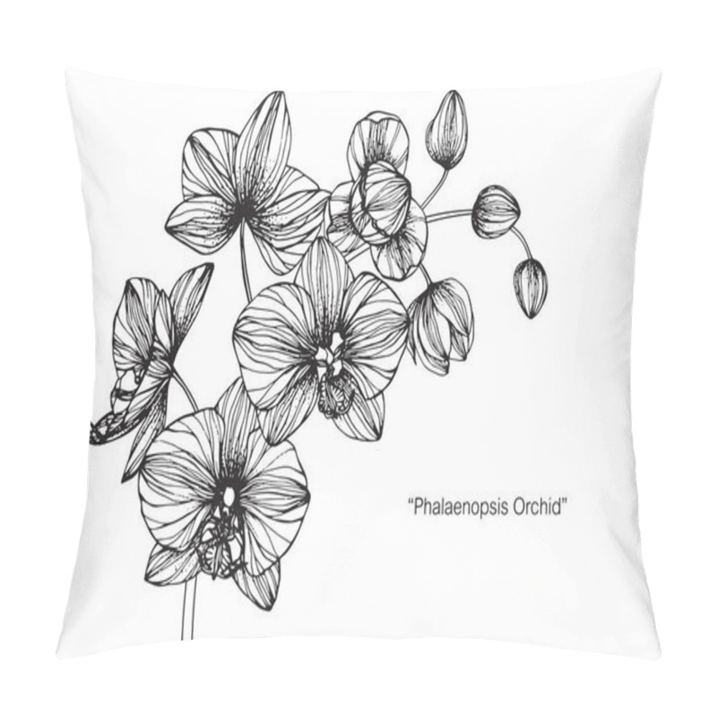 Personality  Orchids Flower. Drawing And Sketch With Black And White Line-art. Pillow Covers