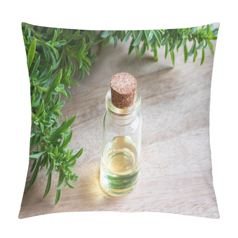 Personality  A Bottle Of Mountain Savory Essential Oil With Fresh Satureja Montana Plant Pillow Covers