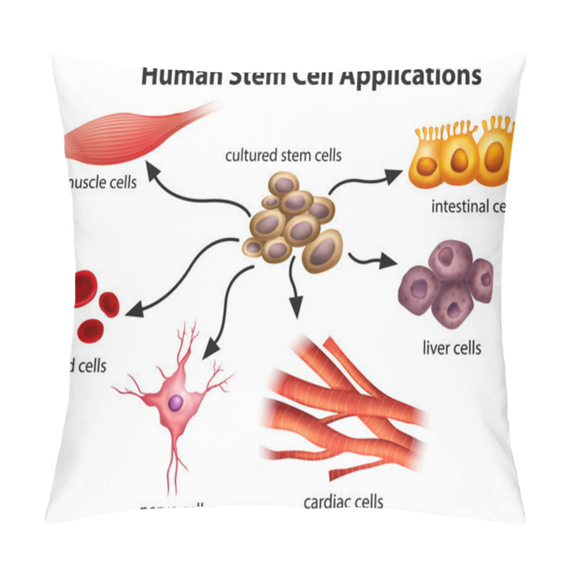 Personality  Human Stem Cell Applications Pillow Covers