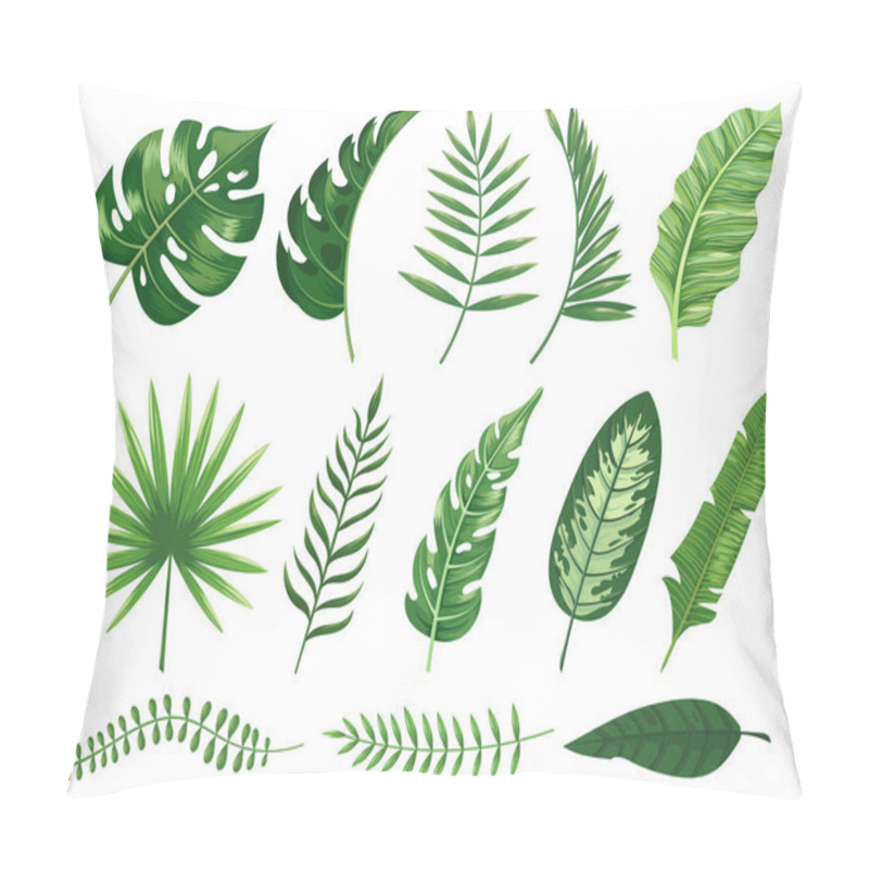 Personality  Exotic Tropical Leaves. Monstera Plant Leaf, Banana Plants And Green Tropics Palm Leaves Isolated Vector Illustration Set Pillow Covers