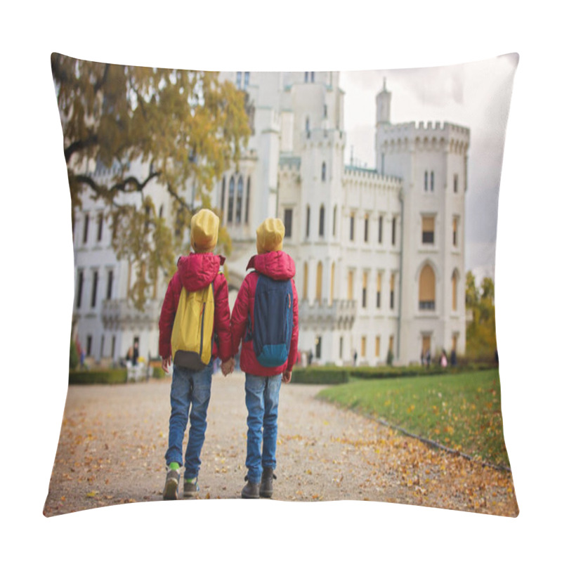 Personality  Two Beautiful Children, Boy Brothers, Walking On A Path In Beaut Pillow Covers