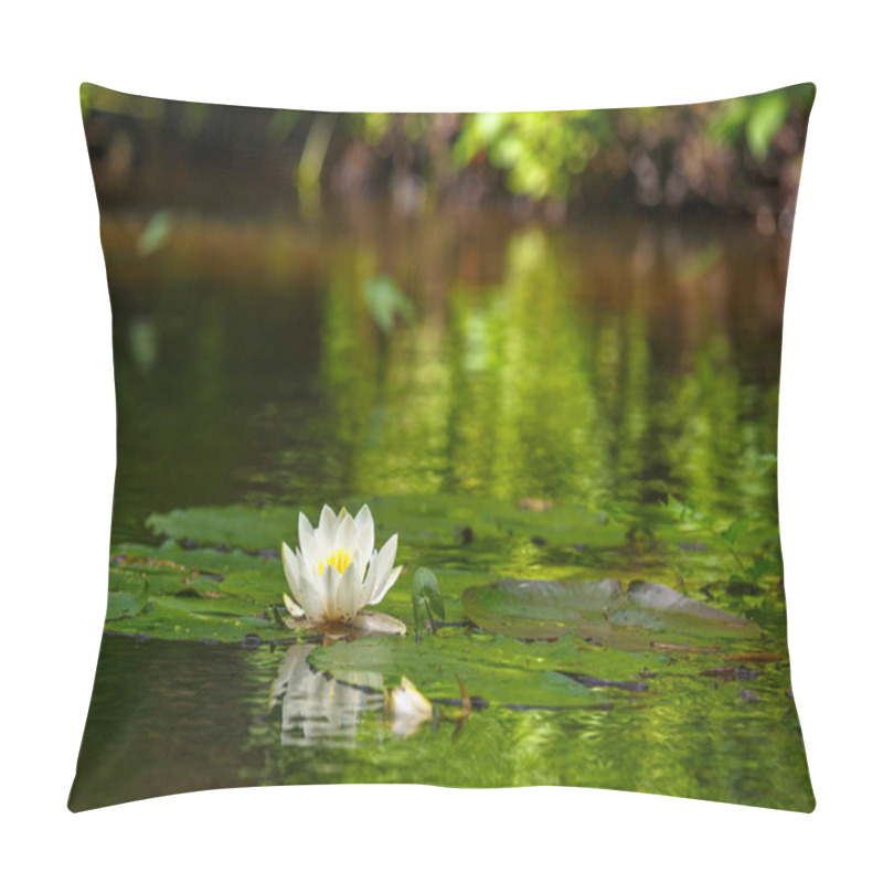 Personality  Waterlily In Pond Pillow Covers