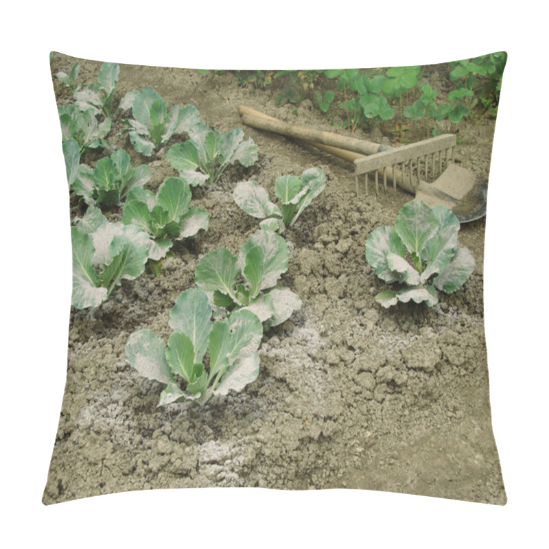 Personality  Cabbage Vegetable Bed Pillow Covers