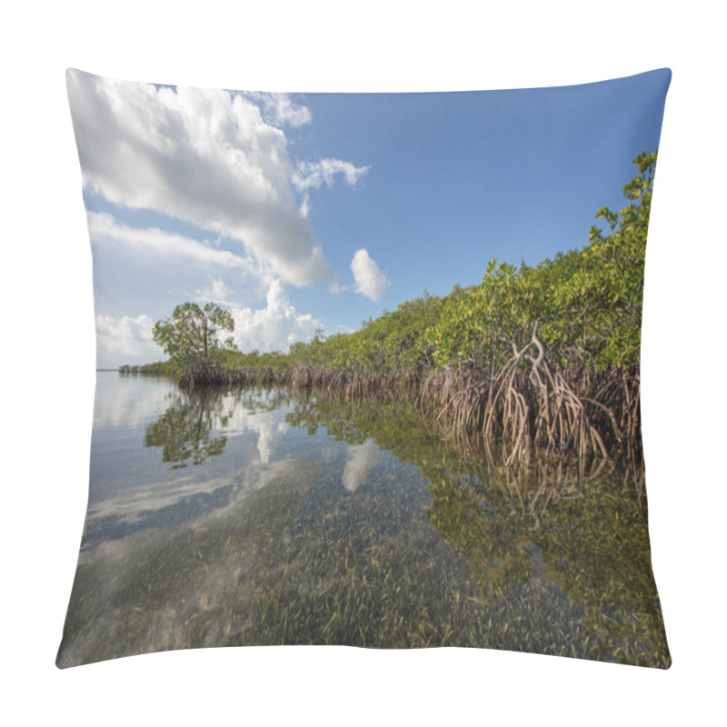 Personality  Cloudscape Relfected In The Waters Of Biscayne National Park, Florida. Pillow Covers